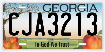 GA license plate CJA3213