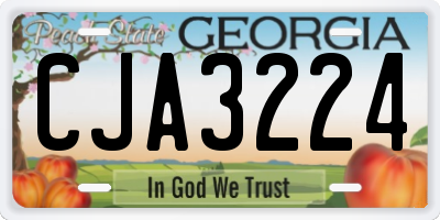 GA license plate CJA3224