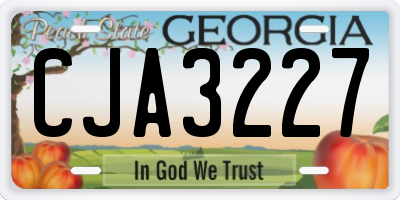 GA license plate CJA3227