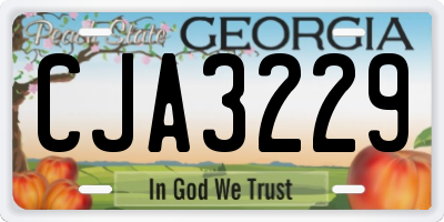 GA license plate CJA3229