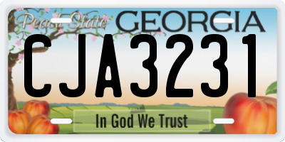 GA license plate CJA3231
