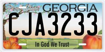 GA license plate CJA3233
