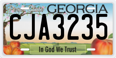 GA license plate CJA3235
