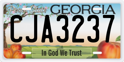 GA license plate CJA3237