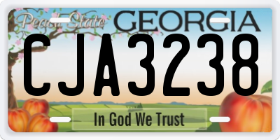 GA license plate CJA3238