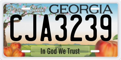 GA license plate CJA3239