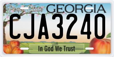 GA license plate CJA3240