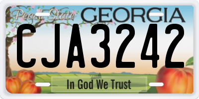 GA license plate CJA3242