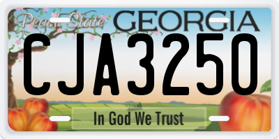 GA license plate CJA3250
