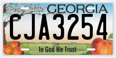 GA license plate CJA3254
