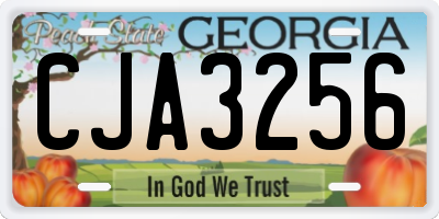 GA license plate CJA3256