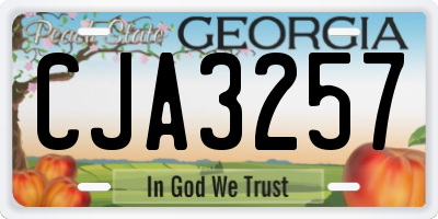 GA license plate CJA3257
