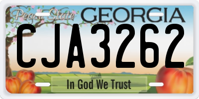 GA license plate CJA3262