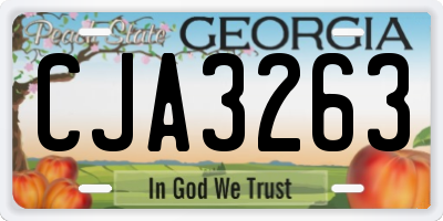GA license plate CJA3263