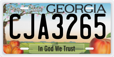 GA license plate CJA3265