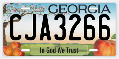 GA license plate CJA3266