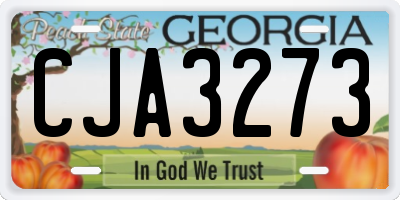 GA license plate CJA3273