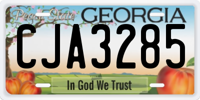 GA license plate CJA3285