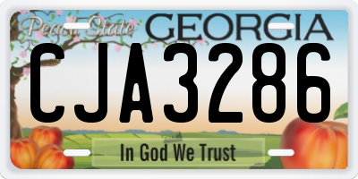 GA license plate CJA3286