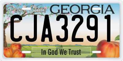 GA license plate CJA3291