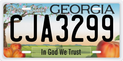 GA license plate CJA3299