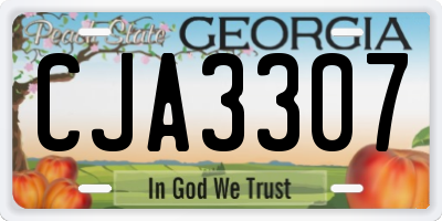 GA license plate CJA3307