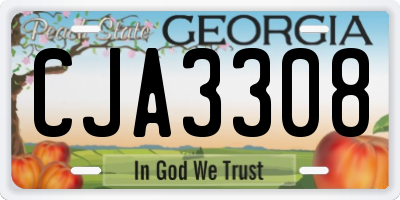GA license plate CJA3308