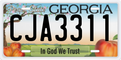 GA license plate CJA3311