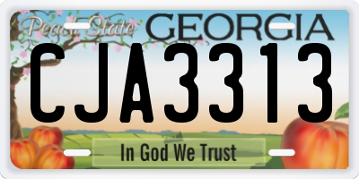 GA license plate CJA3313