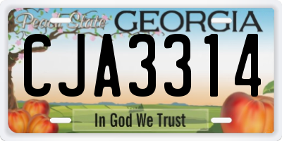 GA license plate CJA3314