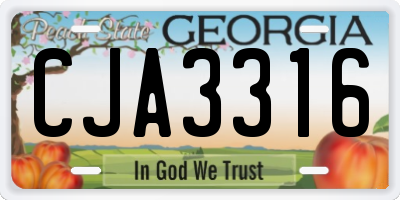 GA license plate CJA3316