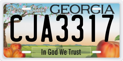 GA license plate CJA3317