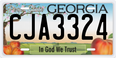 GA license plate CJA3324