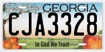 GA license plate CJA3328