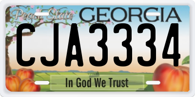 GA license plate CJA3334