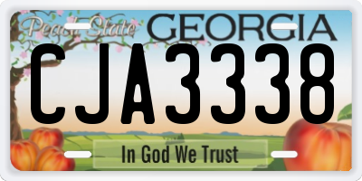 GA license plate CJA3338