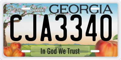 GA license plate CJA3340