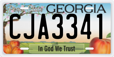 GA license plate CJA3341