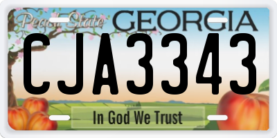GA license plate CJA3343