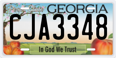 GA license plate CJA3348