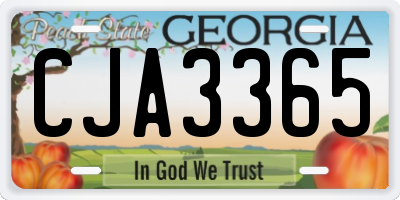 GA license plate CJA3365