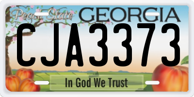 GA license plate CJA3373