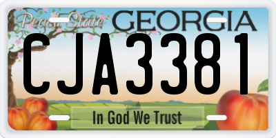 GA license plate CJA3381