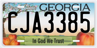 GA license plate CJA3385