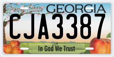 GA license plate CJA3387