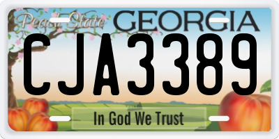 GA license plate CJA3389