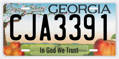 GA license plate CJA3391