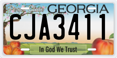 GA license plate CJA3411
