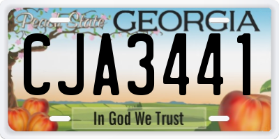 GA license plate CJA3441