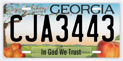 GA license plate CJA3443